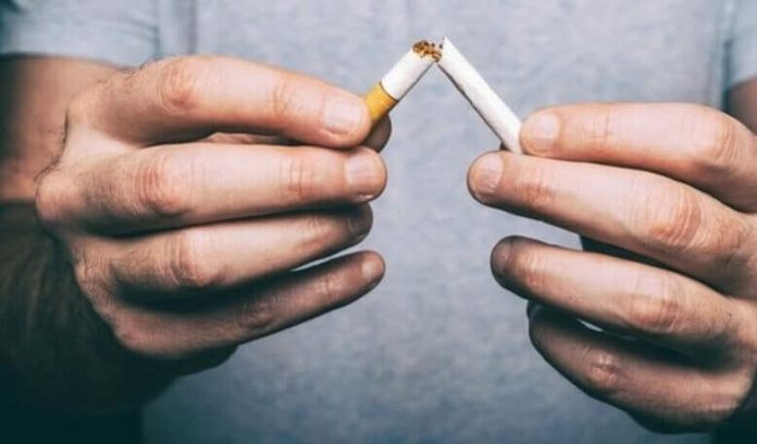 Sigara Markalarının Nikotin Oranları